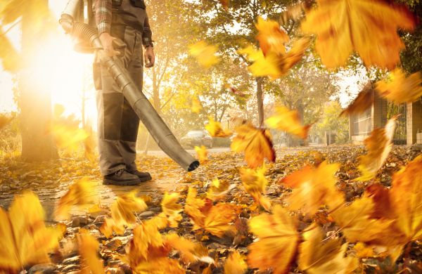 Cost of Leaf Blowing Service in Long Beach
