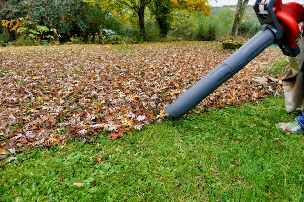 Cost of Leaf Vacuuming Service in Long Beach