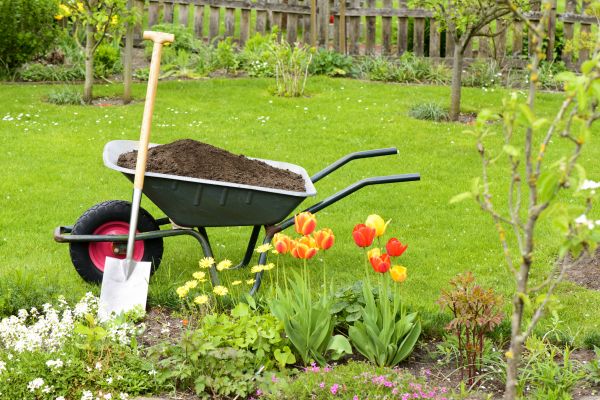 Cost of Spring Yard Cleanup in Long Beach