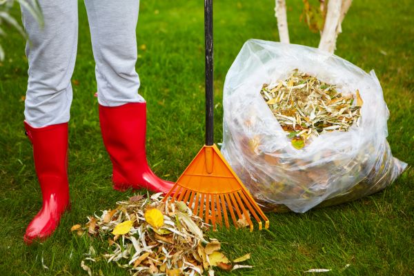 Cost of Leaf Disposal Service in Long Beach