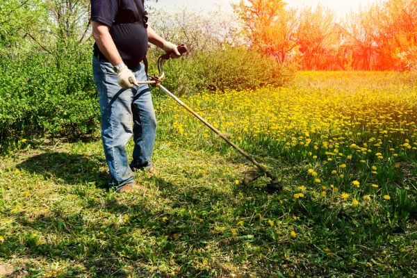 Cost of Yard Clearing Service in Long Beach