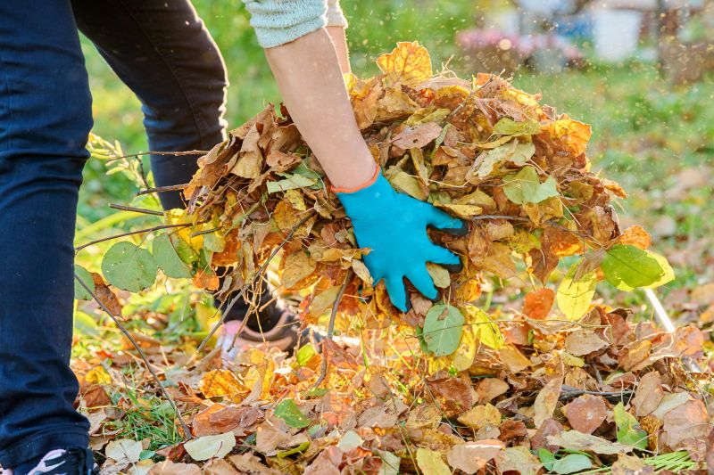 Leaf Cleanup Service